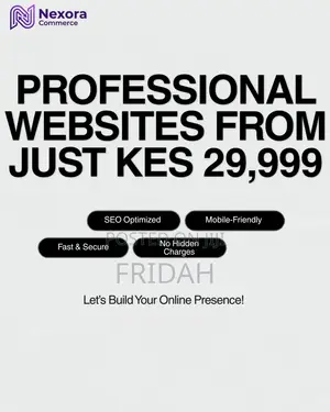 Professional Website Development Services