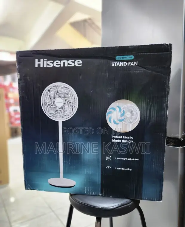 Hisense 16" Standing Fan - 1