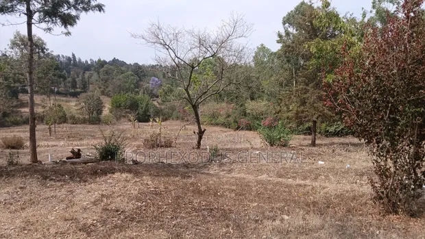 50x100ft Residential Plots for Sale in Oloika, Rongai - 1