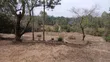 50x100ft Residential Plots for Sale in Oloika, Rongai - 2