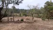 50x100ft Residential Plots for Sale in Oloika, Rongai - 3