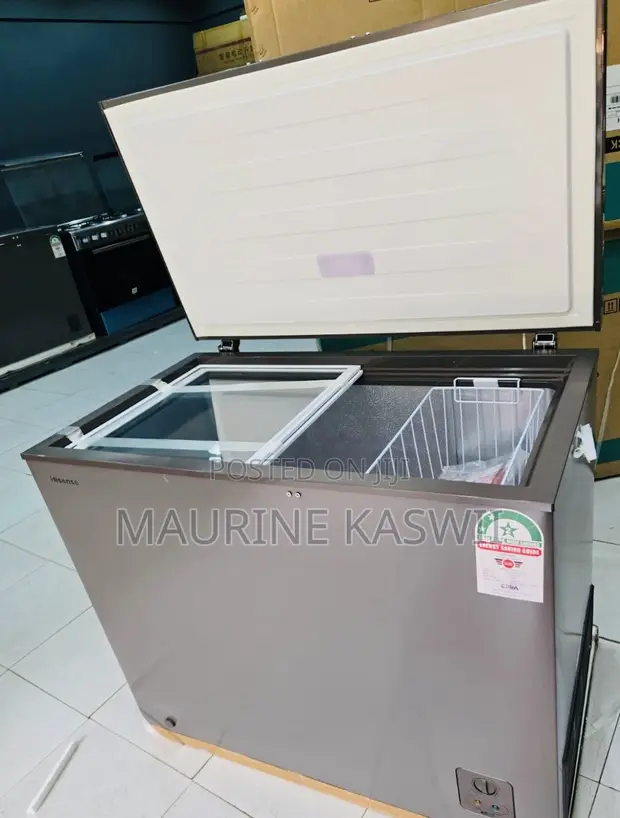 Hisense Dual Freezer 200L - Grey - 1