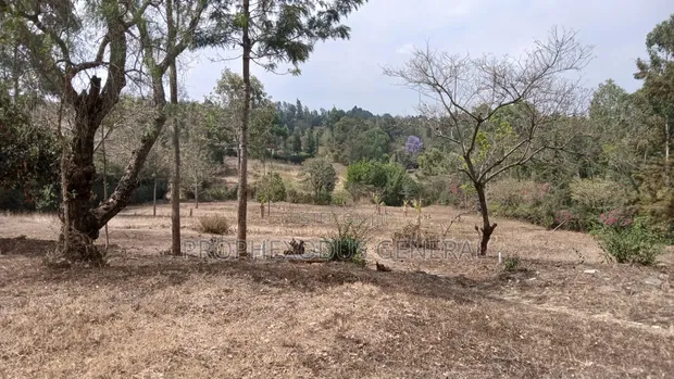 1/8 Acre Residential Plot for Sale in Ongata Rongai Nkoroi - 1