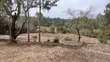 1/8 Acre Residential Plot for Sale in Ongata Rongai Nkoroi - 1