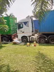 Kitale Maize Harvesting & Delivery Services - 3