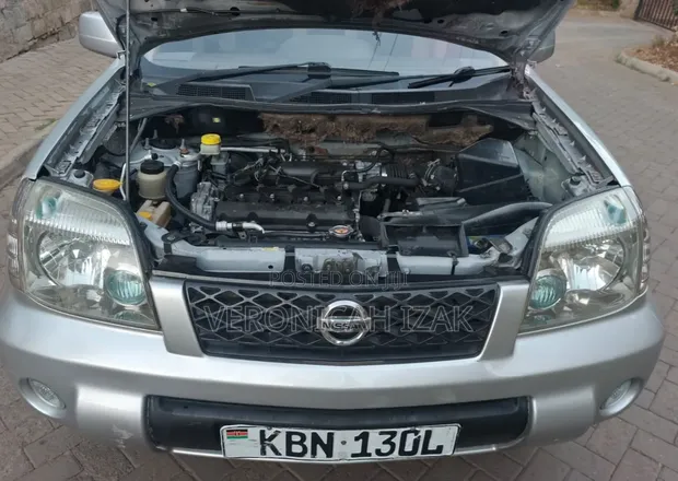 Nissan X-Trail 2004 Silver - 1