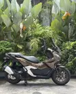 Honda 2025 Silver Scooter - 3