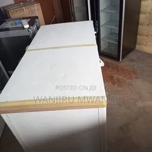Exuk Freezer Milango Miwili