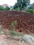 1.5 Acres Land for Sale in Muthiga - 1