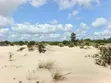 Eneo la Ekari 18 Ufukweni kwa Uuzaji, Malindi - 4