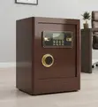 Safe ya Kuzuia Moto ya 48kg - 2