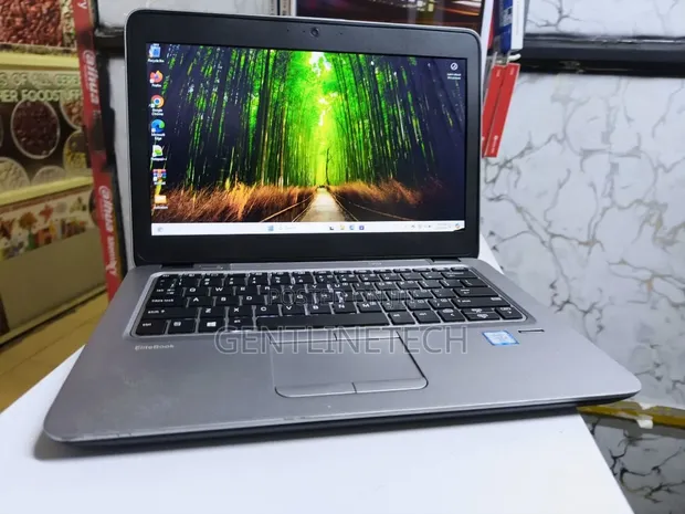 HP EliteBook 820 G3 Laptop - Core i5, 8GB RAM, 256GB SSD - 1