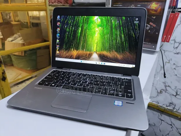 Laptop HP EliteBook 820 G3 - Core i5, 8GB RAM, 256GB SSD - 1