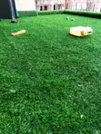 Premium Synthetic Artificial Grass Carpet 20mm - 2