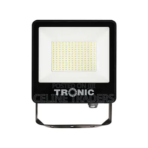 Tronic 100W Floodlight