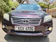 Toyota Vanguard 2012 Maroon - 1