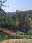 Garden Estate Road Prime 1 Acre for Townhouses - 1