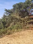 Garden Estate Road Prime 1 Acre for Townhouses - 5