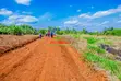 Prime Plot for Sale in Kikuyu, Gikambura - 2
