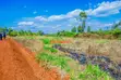 Prime Plot for Sale in Kikuyu, Gikambura - 3