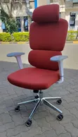 High-Back Orthopedic Ergonomic Office Chair - 1
