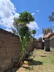 3-Bedroom Bungalow with Mini-Flat & Shops in Finance, Kahawa Sukari - 5