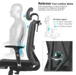 Ergonomic Office Chair with Adjustment Knob - 3