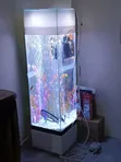 Akvarium Nyeupe ya Mita 4 na Goldfish - 1