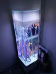 Akvarium Nyeupe ya Mita 4 na Goldfish - 2