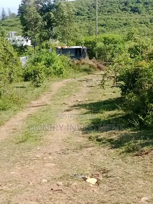 Kitalu cha Nusu Eka kwa Uuzaji Kisumu Ojolla