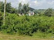 Kitalu cha Nusu Eka kwa Uuzaji Kisumu Ojolla - 2