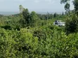 Kitalu cha Nusu Eka kwa Uuzaji Kisumu Ojolla - 3