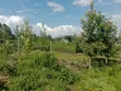 Kitalu cha Nusu Eka kwa Uuzaji Kisumu Ojolla - 5
