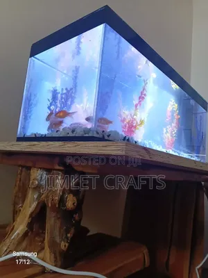 3ft Desktop Aquarium with Goldfish
