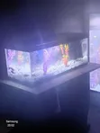 3ft Desktop Aquarium with Goldfish - 2