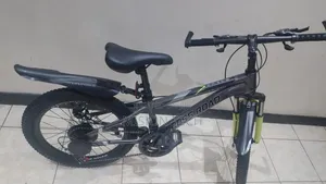 Cross Road Mountain Bike Size 24