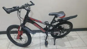 Crossroad 24-Inch Kids Mountain Bike