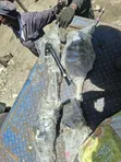 Toyota RAV4 2020 Steering Rack (Iliyo tumika) - 1