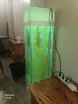 5ft White Tower Aquarium with Goldfish - 2
