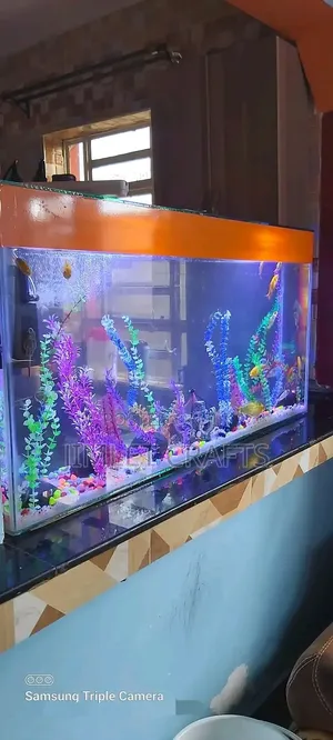 3ft Orange Desktop Aquarium with Goldfish