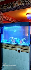 Black Sticker Desktop Aquarium with Goldfish - 1