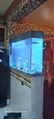 Black Sticker Desktop Aquarium with Goldfish - 2