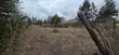 Quarter Acre Plot for Sale in Milimani, Kitengela - 1