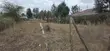 Quarter Acre Plot for Sale in Milimani, Kitengela - 2