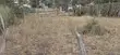 Quarter Acre Plot for Sale in Milimani, Kitengela - 4