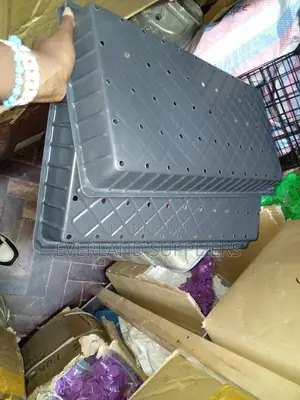 Hydroponic Seedling Trays with Drainage Holes