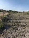 Eneo la Eka 1 Linauzwa Naromoru, Kien East - 3