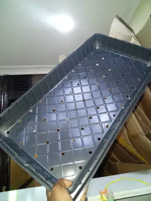 Trei za Mbegu Zenye Matundu kwa Kukuza Mimea