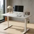 1.5M Electric Home Standing Desk - 4