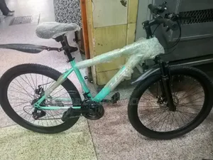 Brand New Green Mountain Bike - Size 24